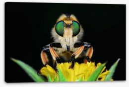 Insects Stretched Canvas 121430946