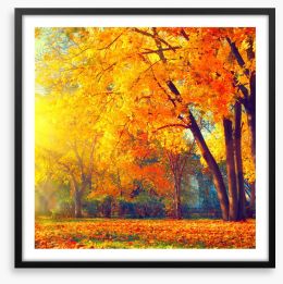 Those autumn days Framed Art Print 121642857