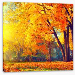 Autumn Stretched Canvas 121642857