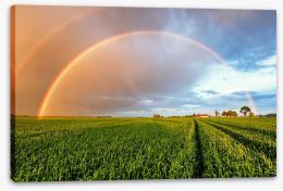 Rainbows Stretched Canvas 122389814