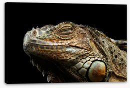 Reptiles Stretched Canvas 122453835