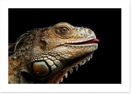 Reptiles Art Print 122453875