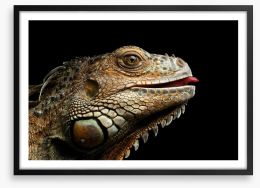 Reptiles Framed Art Print 122453875