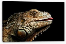 Reptiles Stretched Canvas 122453875
