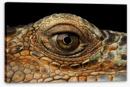 Reptiles Stretched Canvas 122453896
