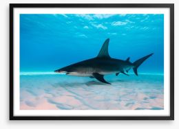 Shark on the sand Framed Art Print 122480149