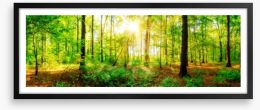 Fresh light panorama Framed Art Print 122870583