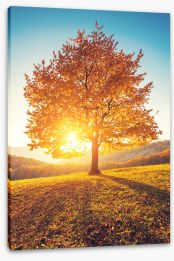 Autumn Stretched Canvas 122975264