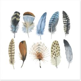 Feather me plumes Art Print 123194770