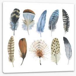 Feather me plumes Stretched Canvas 123194770