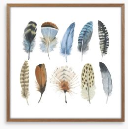 Feather me plumes Framed Art Print 123194770