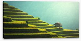 Asia Stretched Canvas 123439862