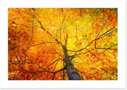 Autumn Art Print 125035029