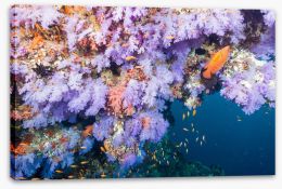 Underwater Stretched Canvas 125080816