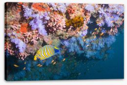 Underwater Stretched Canvas 125081494