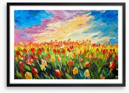 Tulips at sunrise Framed Art Print 125303235