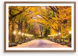 Fall at the Mall Framed Art Print 126544995