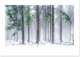 Forests Art Print 126693865