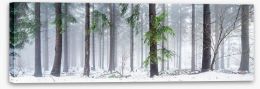 Forests Stretched Canvas 126693872
