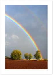 Rainbows Art Print 126702665