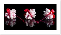 Flowers Art Print 126992475