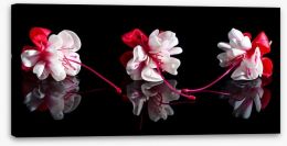 Flowers Stretched Canvas 126992475