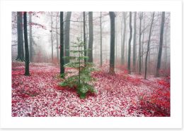 Forests Art Print 127789949