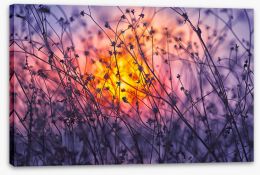 Meadows Stretched Canvas 127797389