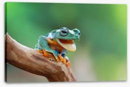 Reptiles / Amphibian Stretched Canvas 127797736