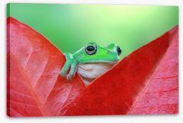 Reptiles / Amphibian Stretched Canvas 127810487