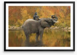 I'll ride with you Framed Art Print 128407604