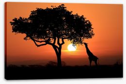 Africa Stretched Canvas 128407934