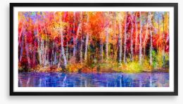 Aspen trees in fall Framed Art Print 129052938