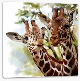 Animals Stretched Canvas 129875141