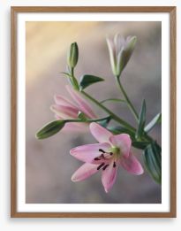 Little lilies Framed Art Print 131137937
