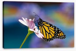 Butterflies Stretched Canvas 133039461