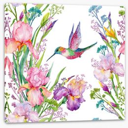 Iris and hummingbird Stretched Canvas 133328673