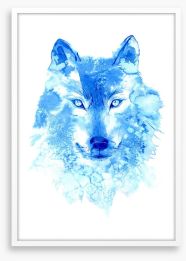 Blue wolf Framed Art Print 134668444