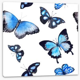 Butterflies Stretched Canvas 134724507