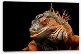 Reptiles Stretched Canvas 135086312
