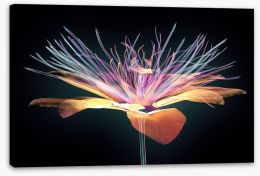 Floral Stretched Canvas 135190325