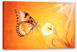 Butterflies Stretched Canvas 135364162