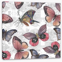 Butterflies Stretched Canvas 135660002