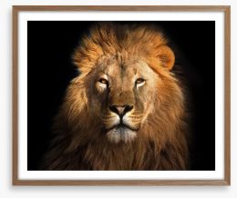 Eye of the lion Framed Art Print 135978399