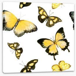 Butterflies Stretched Canvas 136200066