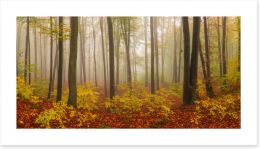 Forests Art Print 136225073