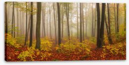 Forests Stretched Canvas 136225073
