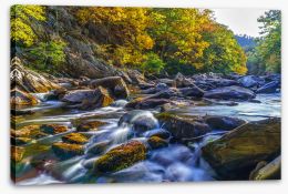 Rivers Stretched Canvas 137138902
