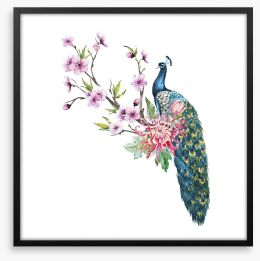Tropical peacock Framed Art Print 137329257