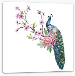 Birds Stretched Canvas 137329257